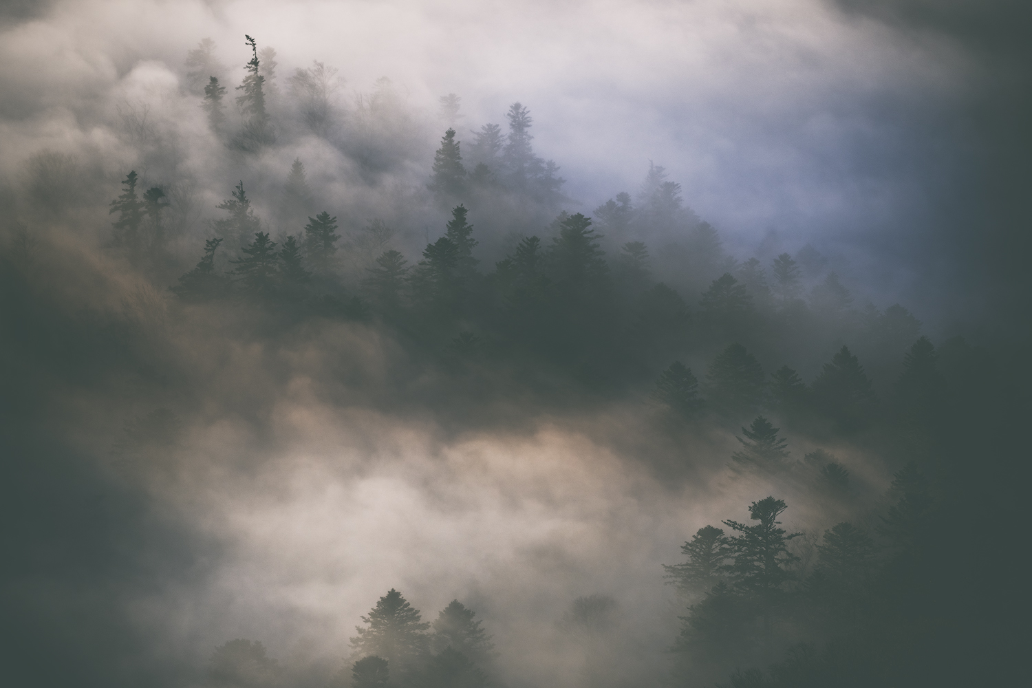 Le silence avant l’aube